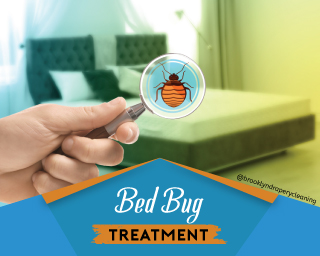 carpet cleaning in brooklyn, carpet cleaning in new york, carpet cleaning brooklyn, carpet cleaners in brooklyn, carpet cleaners in new york, commercial carpet cleaning, commercial carpet cleaning in brooklyn, brooklyn rug cleaners, rug cleaning services in brooklyn, same day carpet cleaning, same day rug cleaning